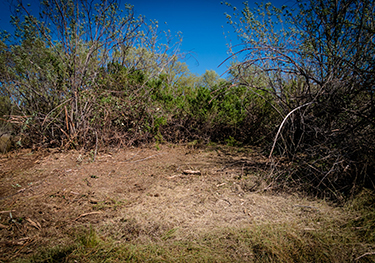 After NorthTree Fire